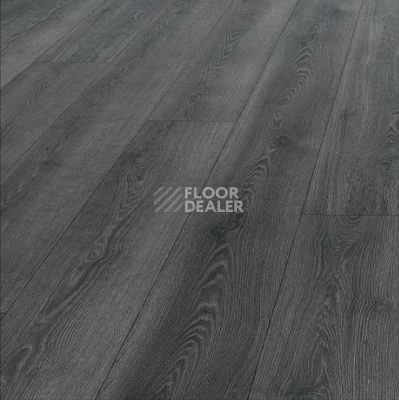 Ламинат Haro Tritty 100 Gran Via 4V ДУБ КОНТУРА ЧЕРНЫЙ 533144 фото 1 | FLOORDEALER